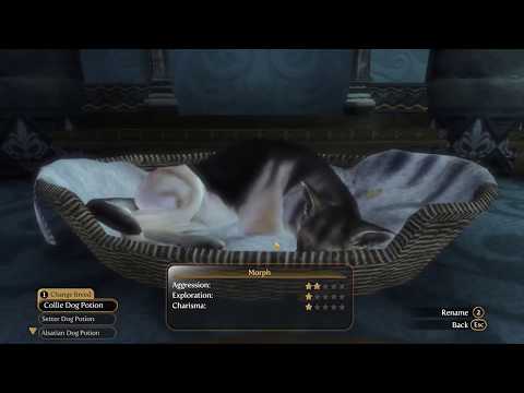 fable 3 pc dlc hack fable 3 pc dlc hack