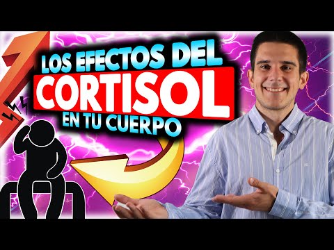 Conoce Los Principales Riesgos Para La Salud De Los Niveles De Cortisol Alto