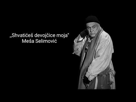 ,,Shvatićeš devojčice moja" - Meša Selimović