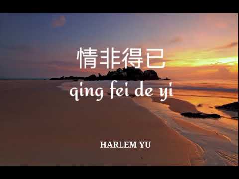 (lirik dan terjemahannya) 情非得已 qing fei de yi - Harlem Yu            (Ost - meteor garden)