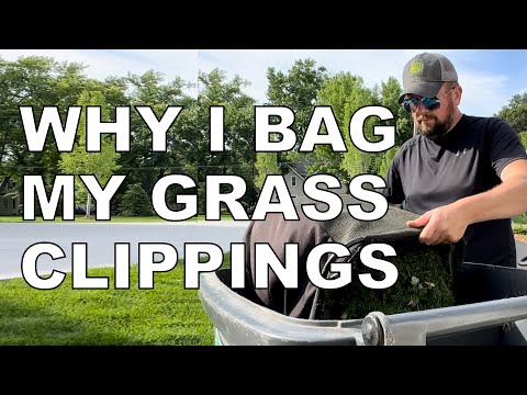 Should you bag your grass clippings? 3 reasons it can make a difference.