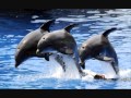 Gjallarhorn - Sinivatsa (Dolphin Calling) 