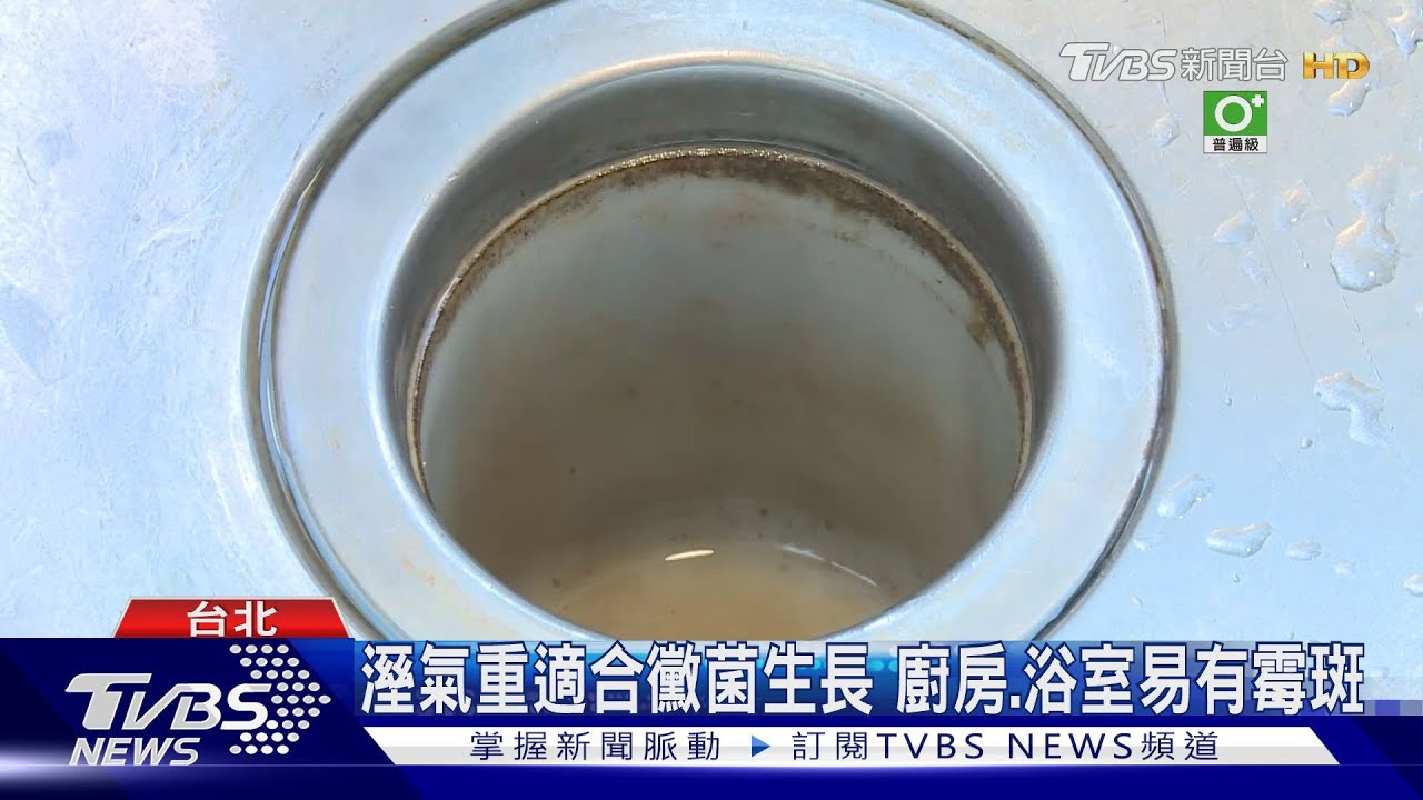 溼氣重適合黴菌生長 廚房、浴室易有霉斑