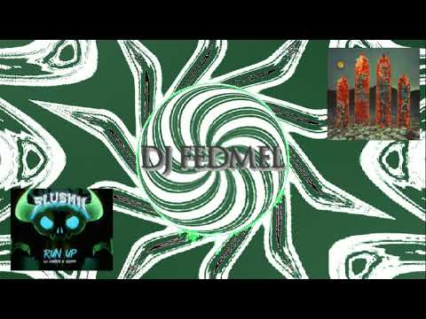 Slushii x Carbin x Skyxxx - Run Up vs boombox cartel - id Dia de los muertos  (MASHUP DJ FEDMEL)