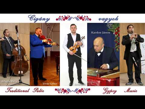 Hungarian Palóc  Gipsy Band - Cigány vagyok / Tradicionális / Cigányzene  / Magyar Nóta