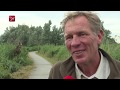Konikpaarden Oostvaardersplassen op transport