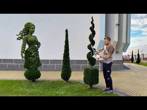 Vom Busch zur Spirale & zum Würfel – Diese Verwandlung wirst du nicht glauben!