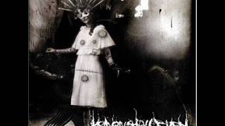 Heaven Shall Burn - Numbing the Pain