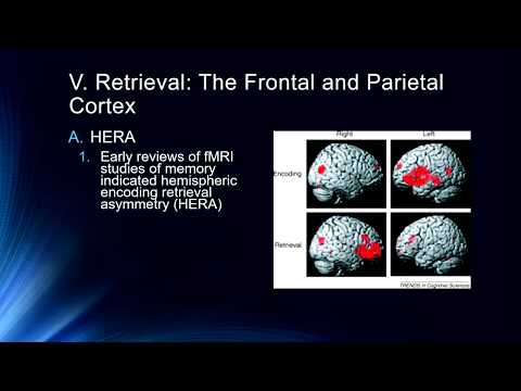 Neuroimaging of Memory Systems