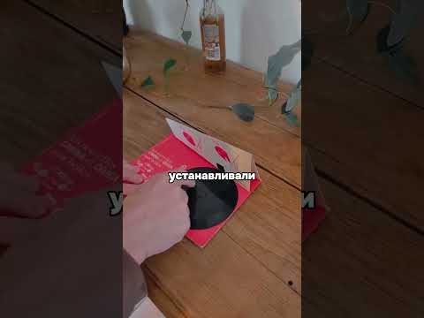 Музыкальная пластинка с рекламой Toyota в конверте