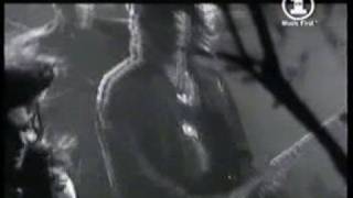 THE STORM - Show Me The Way