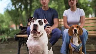 Prime Care, nutrición superior que se nota.