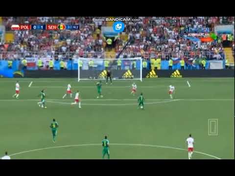 Gana Gueye GOAL POLAND 0-1 SENEGAL WORLD CUP