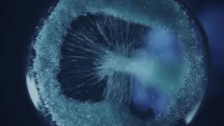 Biofit Bemutatkozó Film