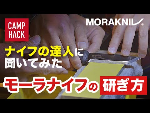 モーラ (魚)について詳しく解説