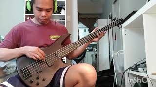 Video thumbnail for Ibanez GSR 205b sound test | Dua Lipa - Don't start now bass cover by Clark Dominic Sullano