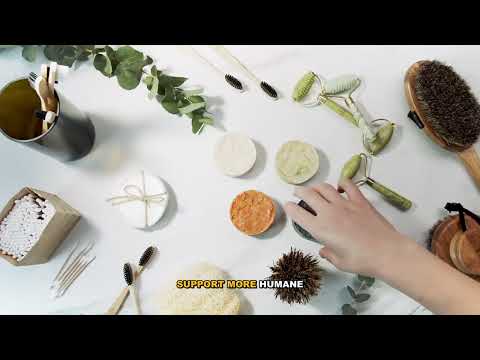 Why Pasture-Raised Eggs Are Best - Everything You Need to Know