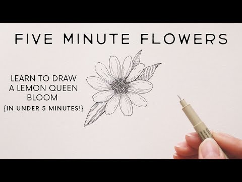 Five Minute Flowers: Lemon Queen Sunflowers {real time drawing tutorial}