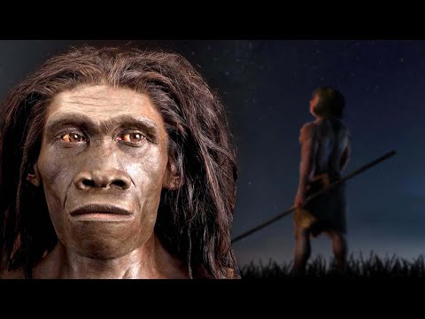 A Brief History Of The Most Successful Human Species: Homo Erectus