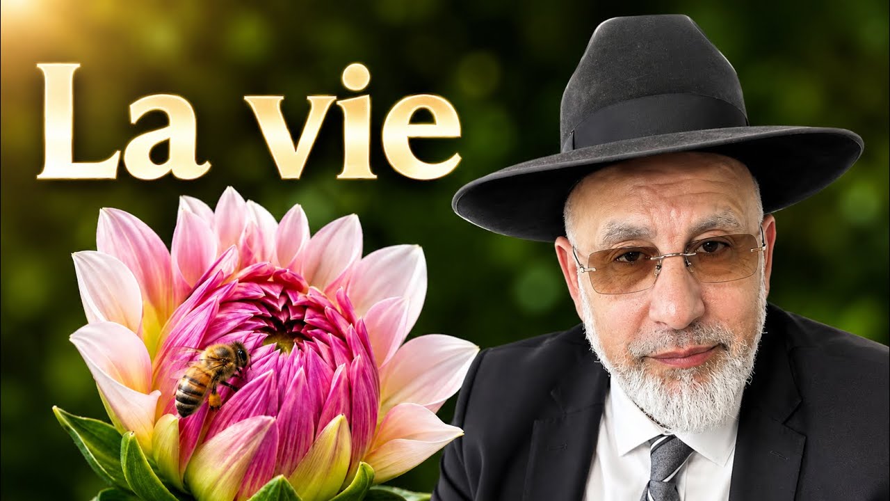 La vie