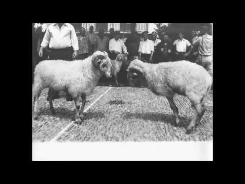 Mikel laboa - Baga, Biga, Higa...