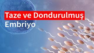 Taze Embriyo mu, Dondurulmuş Embriyo mu? | Medical Park