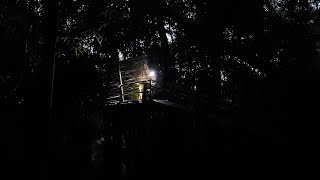 Set up camp in the bamboo forest to shelter  overnight, pick strange fruits for food../Tương Tòn Hào