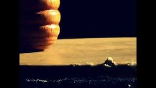 Sigma 70-300mm Macro Lens 10x Zoom || Test Shot Five || Shape Photography