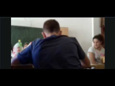 Stefo wants attention