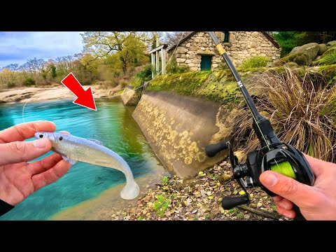 Bar D'écume and 3 more