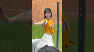 【Passion Sisters】酷似韓瑜大物新人#衣宸#徐博瑋應援曲#台湾チアリーディングチーム#中華職棒#CPBL#樂天桃園球場#20241110（12強熱身賽）