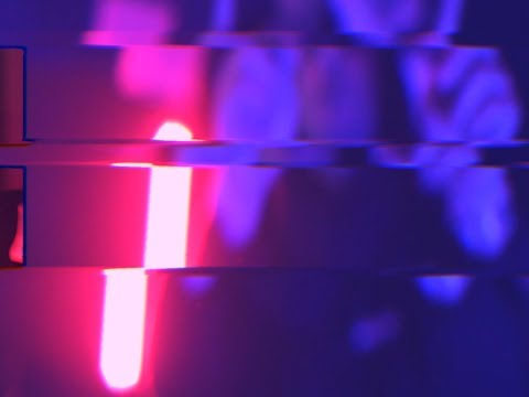 Robse , Edggar , Nedelko et Kalan chez Oster Lapwass n°110419