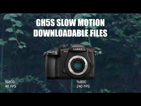 Panasonic GH5S | Slow Motion Image Quality Comparison Test | 48, 120, 180, 240 FPS
