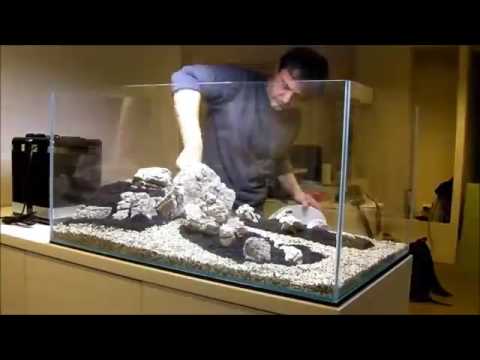 peHa 68   Zakładanie akwarium naturalnego    Four    YouTube