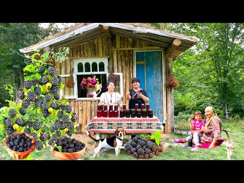 The best recipe for compote and blackberry jam for the winter. Stewed Eggplants With Vegetables .