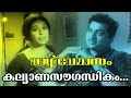 Kalyanasougandhikam Malayalam Old Classic Movie Vazhve Mayam Movie Song