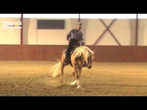 CARMIGNANI DARIO-DUN OK DUN-FELICI SERGIO