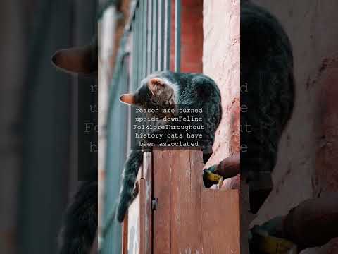 The Enigmatic Cheshire Cat A Feline Icon of WonderIn the whimsical world of Lewis...