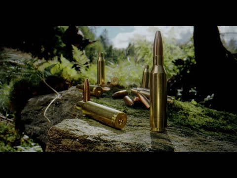 Norma - Now it's up to you