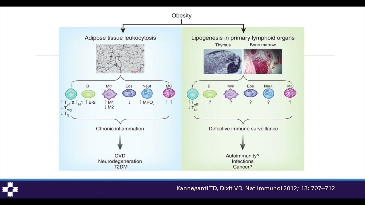 José Israel León Pedroza-3