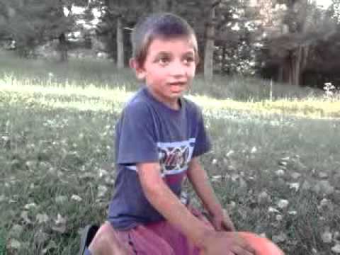 Mali Lole (Draginje)