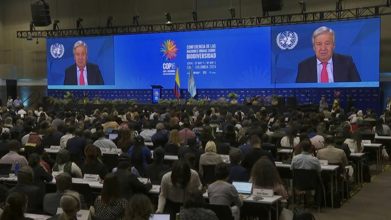 UN chief urges 'significant investment' in fund to save nature | AFP