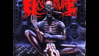 Fleshtorture - Mangled Whore Burial