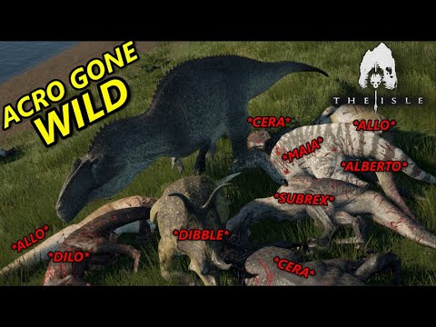Acro Compilation - Killing Mid/Low Tier Dinos - The Isle Gameplay