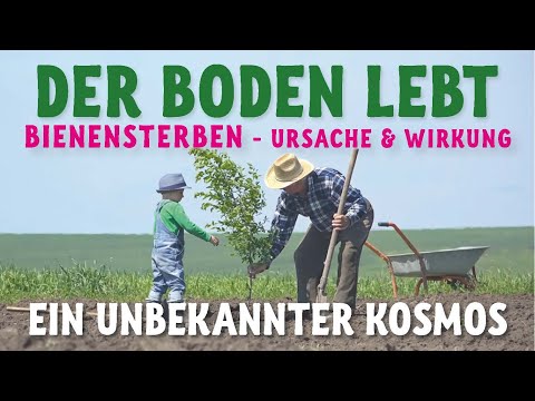 Der Boden lebt - ein unbekannter Kosmos