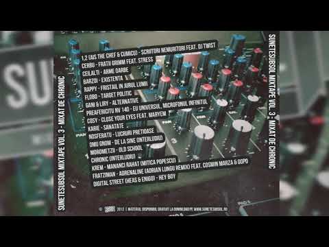 03. Ceilalti - Arme Oarbe