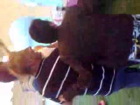 afscheidsbarbeque A1 tubanters 2008