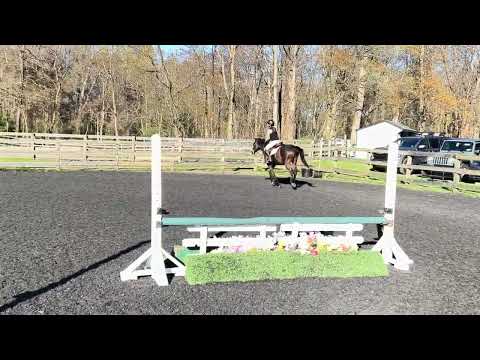 Lancelot K “Lance” video 2