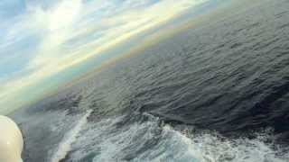 Whale & Dolphin Watching Long Beach, California