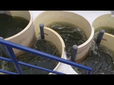 Fischaufstiegsanlage / Mäander-Fischpass / Freie Fahrt für Forellen,Lachse,Aale,Stinte,Neunaugen